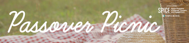 Banner Image for Passover Picnic
